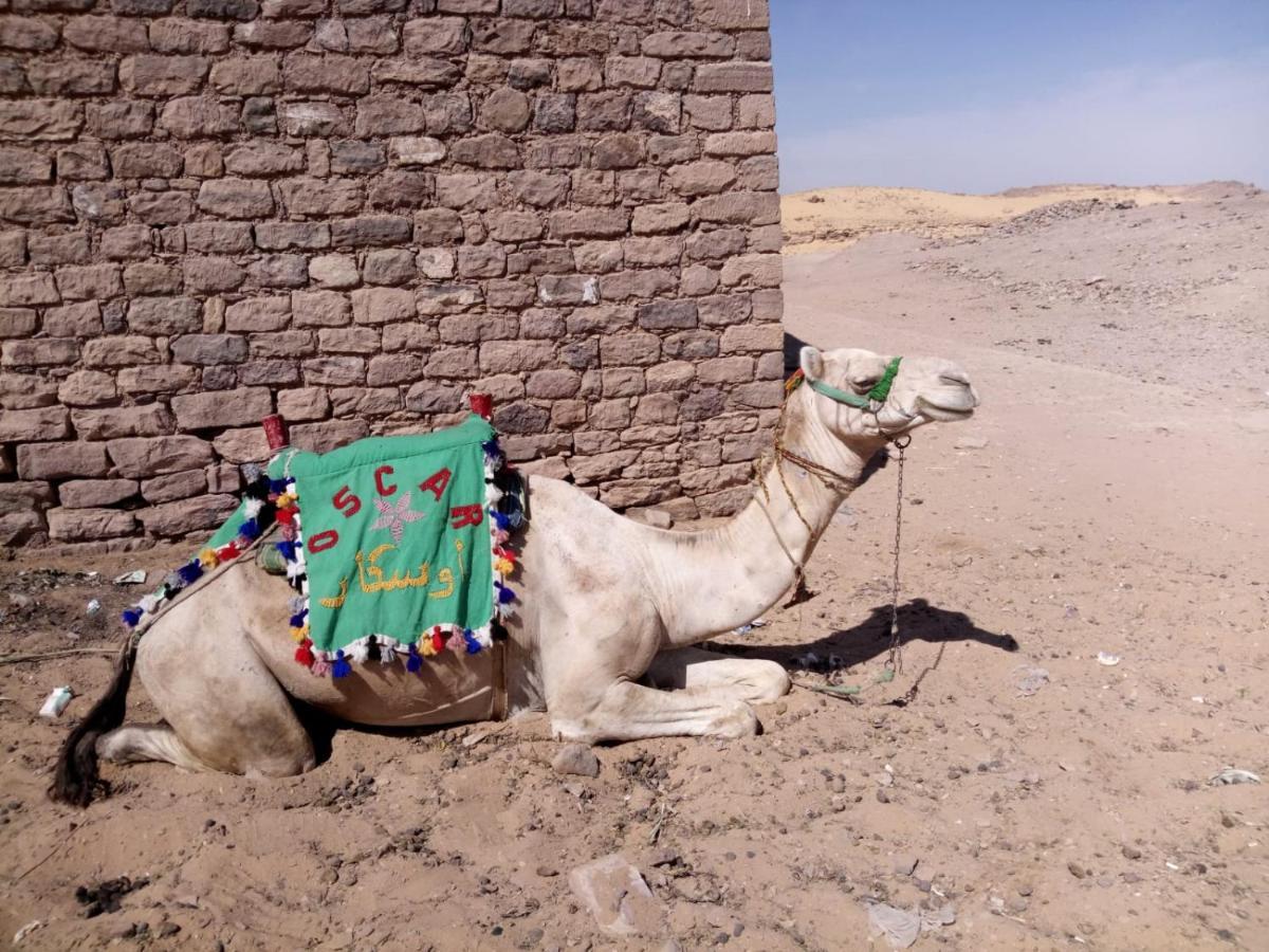 Nubian king Guest house Aswan Luaran gambar